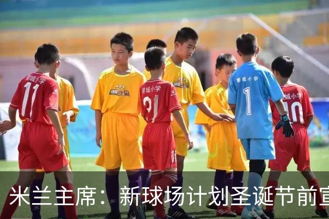 米兰主席：新球场计划圣诞节前宣布 2026年建成